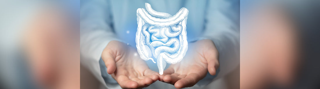 6 Ways To Detox Your Colon And Poop Better