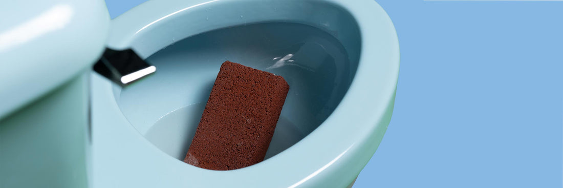 Pinching a Loaf and Other Poophemisms